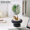 Planta Bebê de Ipê em Vaso, uma Ferramenta de Alívio de Estresse para Desktop para Trabalhadores, Fácil de Cultivar Hidroponicamente, Pequena Planta Verde Tolerante à Sombra para Banheiros