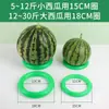 Fixador de Frutas Melancia Melão Display Tapete Antiderrapante Anel Plástico Círculo Círculo de Melancia