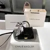 Dropshipping Bolsos de Encaje Dionysus Nicho Bolsos Cuadrados Pequeños con Lazo de Alta Gama Primavera y Verano Nuevos Venta al por Mayor