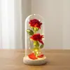 Ramo de Flores Eternas de Rosa Transfronterizo en Cúpula de Cristal, Caja de Regalo para el Día de San Valentín, Producto Terminado, Regalo de Navidad para el Día de la Madre