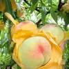Sacos para ensacar pêssegos, ensacamento de frutas, ferramenta de proteção contra pássaros e insetos, sacos de rede para pêssegos, melão, pêssegos amarelos para jardinagem