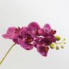 Simulación mano hidratante rama única 5 cabezas Phalaenopsis adornos para el hogar arreglo floral boda flor de simulación accesorios para sesión de fotos Flor