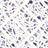 5 piezas de pegatinas transparentes de lavanda tranquila para diario PET, pegatinas de papelería impermeables de plantas florales