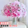 Flores Que Florescem por Muito Tempo e São Fáceis de Cultivar, Lírios, Sino dos Ventos, Flores de Corte Frescas, Plantas Hidropônicas de Cabelo Reto de Yunnan, Rosas, Arranjos de Flores de Interior