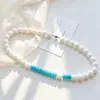 Collar con Cadena para Clavícula y Juego de Pulsera con Diseño de Concha Natural de Alta Calidad y Turquesa Artificial