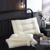 Almohada Azul Raíz Almohada Núcleo Nueva Primavera/Verano 2026
