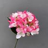 Casamento Rosa Negra Vermelha Flor de Simulação Material Arranjo Cor Pitaya Queniana Floricultura de Casamento Flores Artificiais Rosa