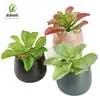 Simulación planta suculenta súper grande tamaño pequeño suculenta bonsái planta verde flor de plástico en maceta micro paisaje con pared vegetal