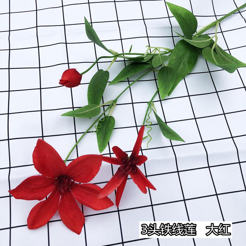 5_副本.jpg