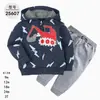 Comercio Exterior Ropa Infantil Primavera y Otoño Conjunto Infantil de Dos Piezas Material Sudadera Sudadera con Capucha Ropa Infantil para Bebés Ropa de Salida [Al por Mayor]