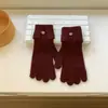 Guantes para Mujer Otoño e Invierno Estilo Nuevo Muñeca Extendida Guantes Cálidos Guantes de Punto de Color Sólido Simples