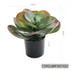 Planta artificial de aloe simulada nórdica, orquídea tigre falsa, suculentas tropicales, decoración para sala de estar interior, adornos para escaparates