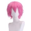 Principais fabricantes de chapéus de cabelo curto europeus e americanos em estoque, peruca de animação cosplay Shengda, cor universal Harajuku anti-deformada