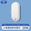 Lámpara de pared LED inteligente con inducción de cuerpo humano impermeable para exteriores, radar, pasillo, escalera, pasillo, lámpara de inducción con control acústico-óptico