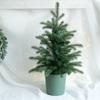 30CM-180CM Árvore de Natal Árvore Nua Decoração de Janela de Natal PE Árvore Nórdica PVC Árvore de Neve Vestuário
