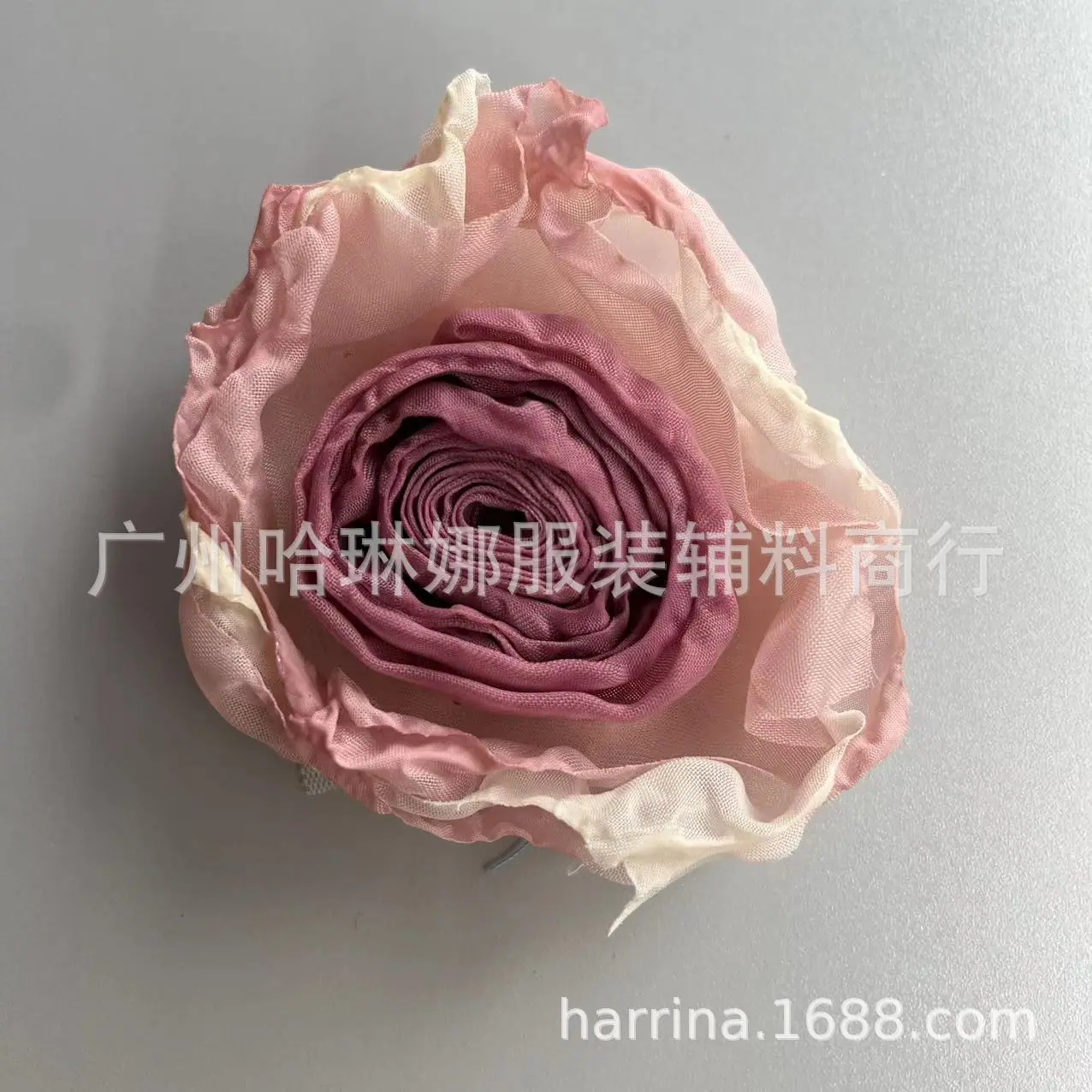 微信图片_202405091351471
