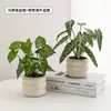 Plantas Verdes Simuladas Árboles Pequeños en Maceta Interior Oficina Escritorio Sala de Estar Mesa de Café Flores Artificiales Arreglo Floral Cerámica Tejida