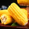 Maíz amarillo ceroso del noreste, 10 mazorcas, cosecha nueva, envasado al vacío, recién cosechado, pegajoso y dulce, granos de maíz frescos, no listo para comer