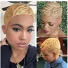 Peruca Feminina Nova 2025 Peruca Europeia e Americana Transfronteiriça Cabelo Curto Preto Feminino Seda de Alta Temperatura Fibra Química Cabelo Curto Cacheado em estoque