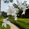 [Orquídea de Fuego] Decoración de Boda, Arreglo Floral de Mesa para Sala de Estar, Pared de Flores, Accesorios para Fotografía, Flores Artificiales al por Mayor