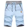 Shorts de Algodão e Linho de Verão, Cintura Elástica, Calças Casuais, Calças Mid de Perna Reta Finas, Shorts de Comércio Exterior Transfronteiriço, Calças de Praia Masculinas