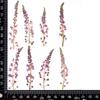 Flor de Azufaifo de Algodón Espécimen de Planta Silvestre Natural Flor Seca en Relieve IDY Hecho a Mano Marco de Fotos Marcapáginas Material Floral para Velas Venta al por Mayor