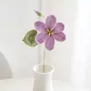 Venta de Liquidación de Rosas y Tulipanes, Liquidación de Excedente de Stock, Hallazgos de Oportunidad de Puestos Callejeros, Liquidación de Precio Especial de Exportación, Girasol