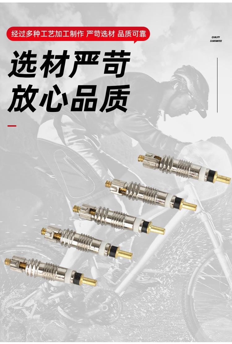 镀锌气门芯_04