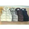 Chaleco de Algodón con Capucha de Punto Patchwork Estilo Coreano para Mujer Otoño/Invierno Holgado Sin Mangas Chaleco Casual Acolchado Chaleco Chaqueta de Algodón