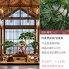 Nuevo Modelo de Set de Pino de Bienvenida para Entrada de Floristería, Decoración de Escaparate, Planta Verde Artificial, Bonsái Estilo Japonés