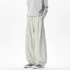 Outono de 2026 Novo Calça Wide Leg com Padrão Espinha de Peixe Sombra na Parede M-5XL HK26736-Especial P34