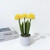 Suministrado Directamente del Fabricante, Piedra Flor de Lluvia Tres Bolas Pequeñas Crisantemo Bonsái Artificial Decoración de Escritorio de Oficina Flor Artificial de Plástico Planta Pequeña en Maceta