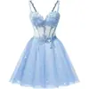 Estilo Nuevo 2026 Elegante Ceñidor de Cintura Sin Tirantes Malla Fiesta de Cumpleaños Dama de Honor Vestido de Noche para Mujeres, Suministro Transfronterizo