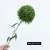 Simulación de Boda Bola de Pelo Verde Material de Flores Clavel Verde Vestido Suave de Boda Hogar Moderno Hotel Flor Artificial Flor Arte Floral Arreglo Floral