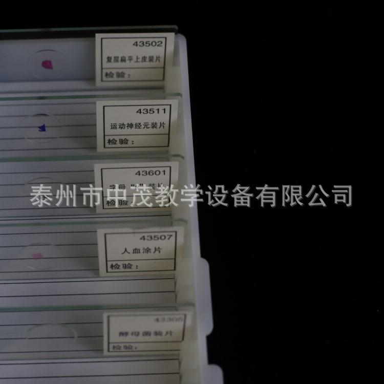 切片 (6)