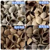 Materiais para Sino de Casca de Fruta por Quilo, Kit de Material para Sino Manual, Pingente de Sino de Vento de Casca de Fruta, Vagem de Feijão Florido DIY, Fruta Negra, Ovo de Fênix