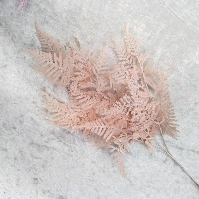 文竹粉香槟色