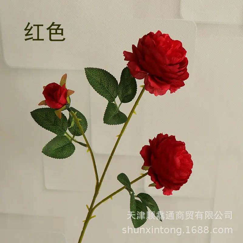 三叉洋牡丹红色1.jpg