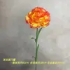 Cravo de Haste Única Flor Artificial Dia das Mães Dia dos Professores Decoração de Quarto Quarto Sala de Estar Arranjo Floral Adereço para Foto