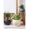 Maceta Cerámica Simple Perezosa Auto-Riego Plantas Verdes Suculenta Bonsái Contenedor Cactus Interior Transpirable Maceta Perezosa