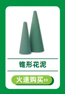 5.4Lucy热卖推荐-6.jpg