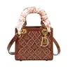 Bolso de Princesa Diana Bordado de Alta Gama, Bolso de Mujer, Nuevo Bolso de Mano con Pañuelo de Seda de Moda, Bolso Bandolera de Hombro Moderno y Elegante