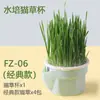 Maceta Hidropónica Caja Taza de Hierba para Gatos Perezosos para Cultivar Hierba que Reduce las Bolas de Pelo, Semillas de Trigo Fresco de Autocultivo, Planta en Maceta Snack para Gatos
