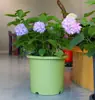 Maceta Flor de Cuatro Estaciones Nórdica Simple Creativa Maceta Control Raíz Profunda Deepot Grande Plástico Resina Maceta Galón Rosa Verde