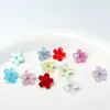 Botões de Flor Pequena Fresca Imitando Concha Botões de Flor de Cinco Pétalas de Acetato Decoração para Camisa Cardigã Suéter Vestido
