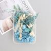Fatias de Limão Meimuer Botão de Rosa Grânulos de Lavanda Flores Secas DIY Velas de Aromaterapia Fatias de Cera Material de Flor Decorativa