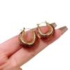 Pendientes de Aguja de Plata Retro Geométricos de Leopardo Europeos y Americanos Elegantes Personalizados Combinables Pendientes Otoño Invierno Nuevo Sentido de Alta Gama para Mujer