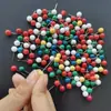 Aguja de Acero Inoxidable, Pasador de Plástico de Colores Variados, Pasador de Fijación para Carrete de Equipo de Pesca, Caja para Set de Líneas, Aguja para Tierra
