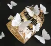 Decoração de Parede de Borboleta de PVC de Camada Única com 12 Peças, Adesivos Magnéticos para Festas de Casamento, Adesivos de Parede de Borboleta Estéreo 3D