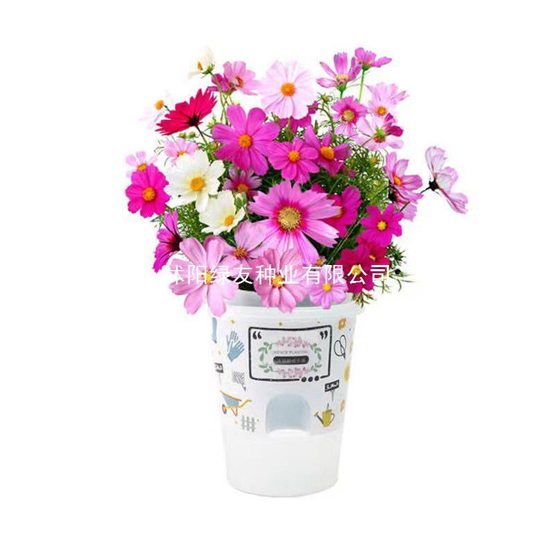 7fd9303ee9f78c2b7242a8c01a2e7c